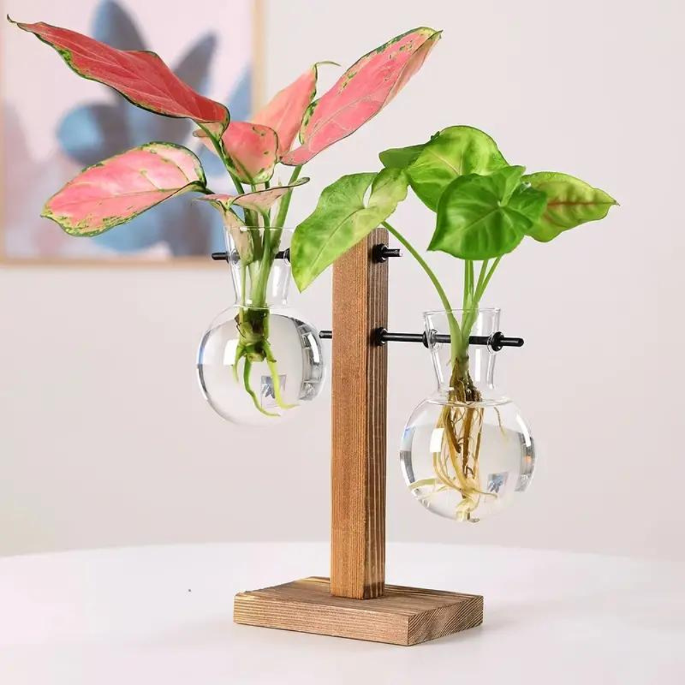 hydroponics planter Wooden Hydroponic Planter