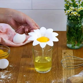 Egg Yolk Separator