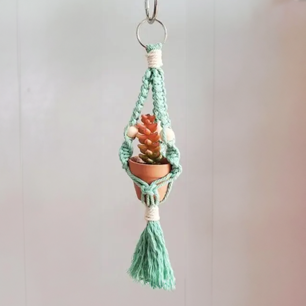 diy car plant hanger Macrame Car Plant Hanger
