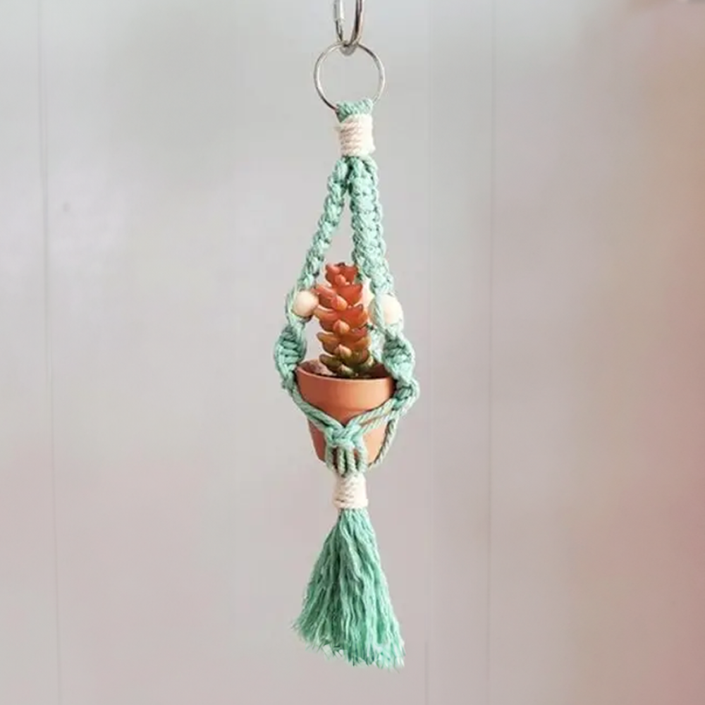 Macrame Car Plant Hanger