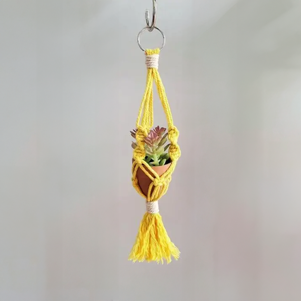 macrame plant hanger car Macrame Car Plant Hanger