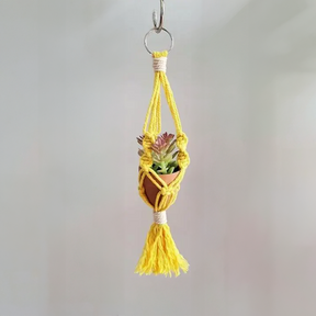 Macrame Car Plant Hanger