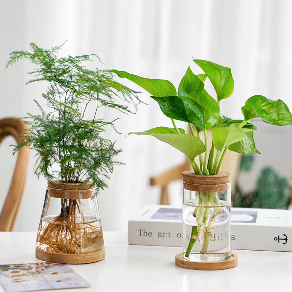 Glass Vase Planter