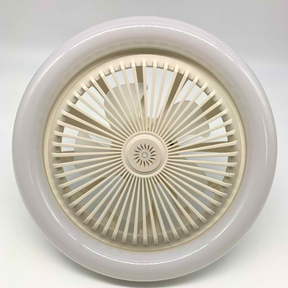 Aromatherapy Bulb Fan