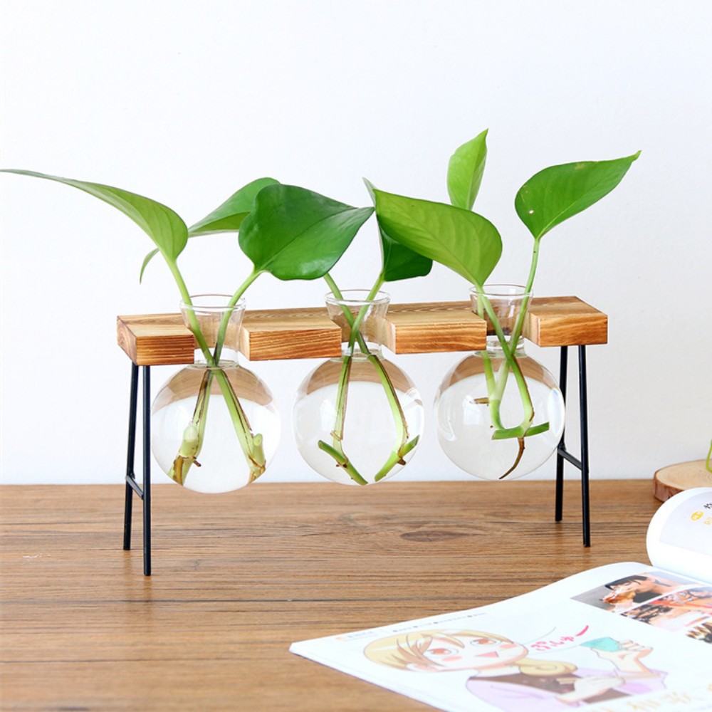 Hydroponic Glass Planter