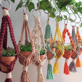 Macrame Car Plant Hanger