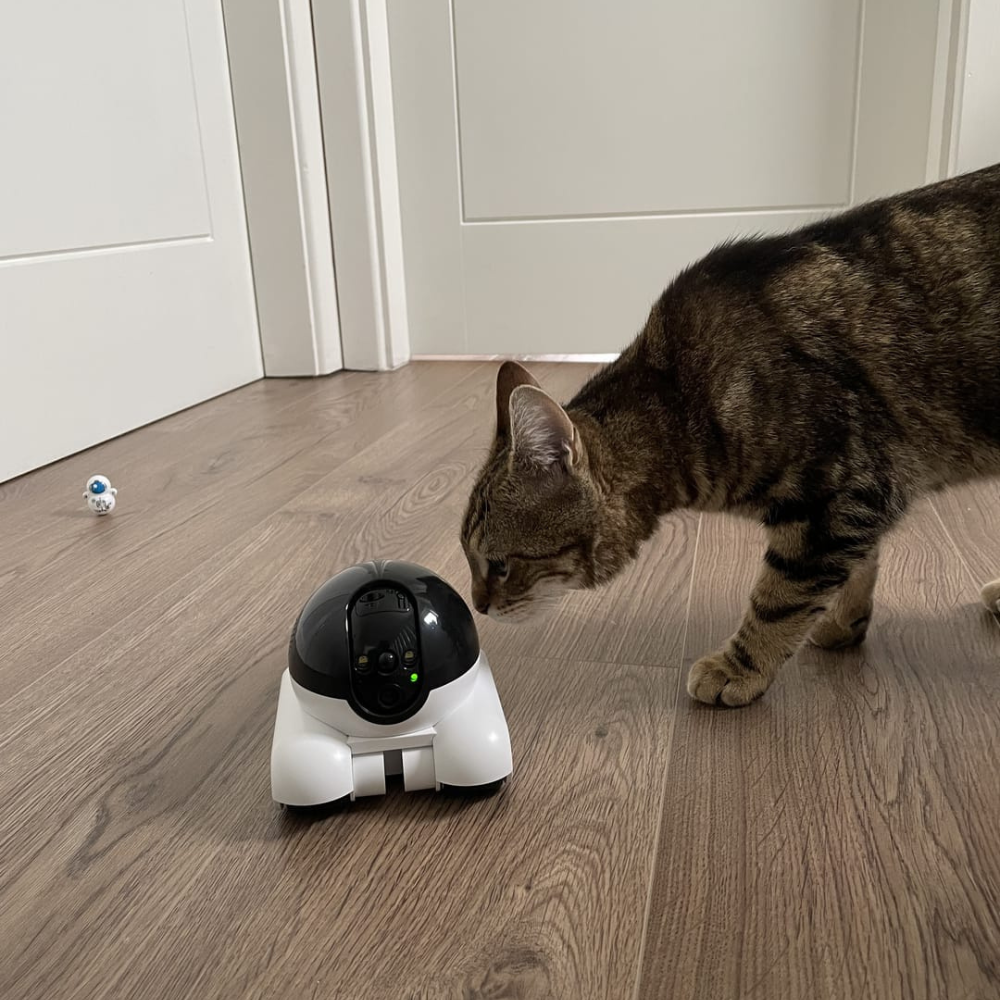 GuardianPixie™ | Motion Detection Camera