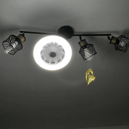 Aromatherapy Bulb Fan