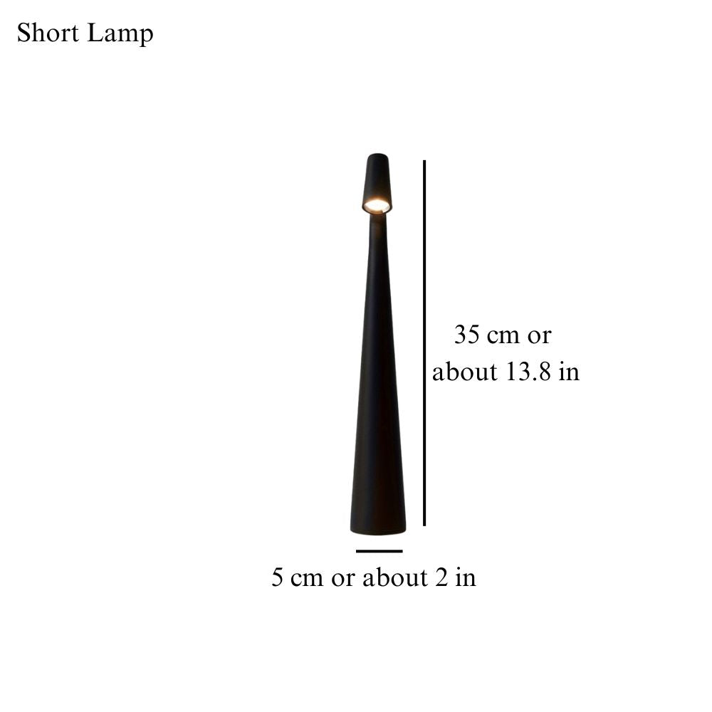 Illuminating Sculpting Lamp