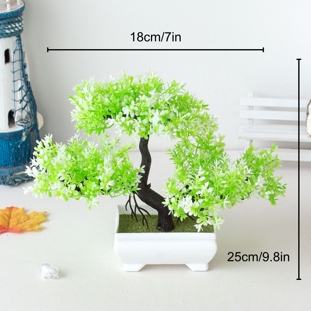 Ornamental Bonsai Tree