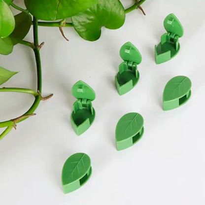 Vine Plant Wall Clips