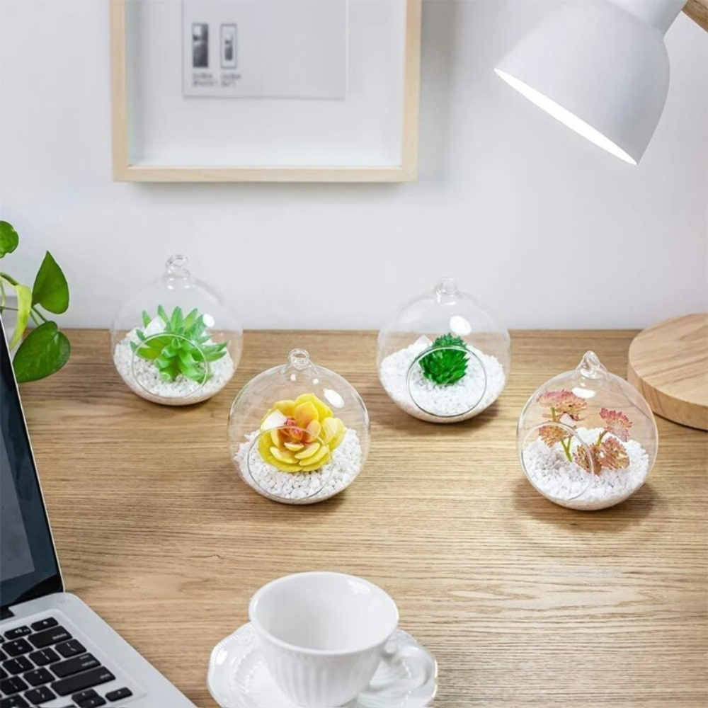 round terrarium planter Round Terrarium Planter