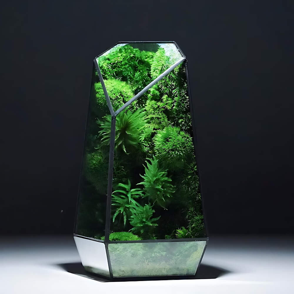 Moss Prism Terrarium