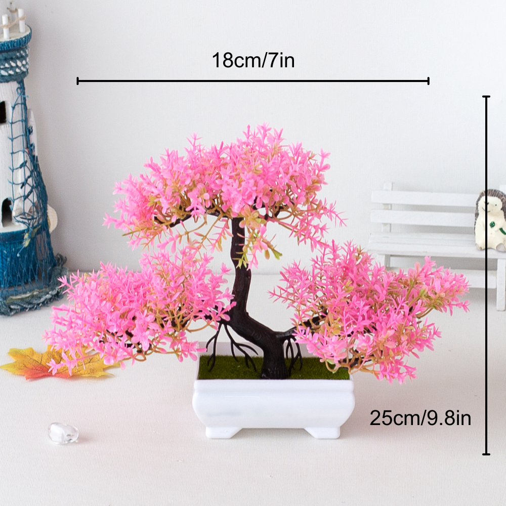 Ornamental Bonsai Tree