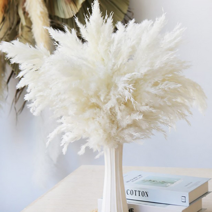 Pampas Grass Bouquet (Set of 5)