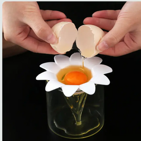 Egg Yolk Separator