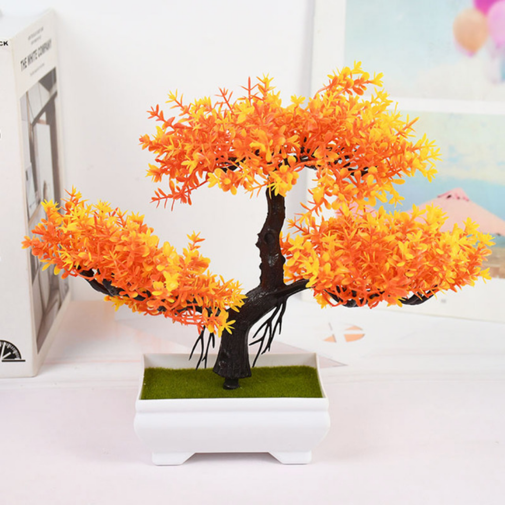 Ornamental Bonsai Tree