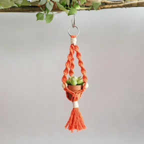 Macrame Car Plant Hanger