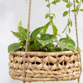 Native Hanging Basket