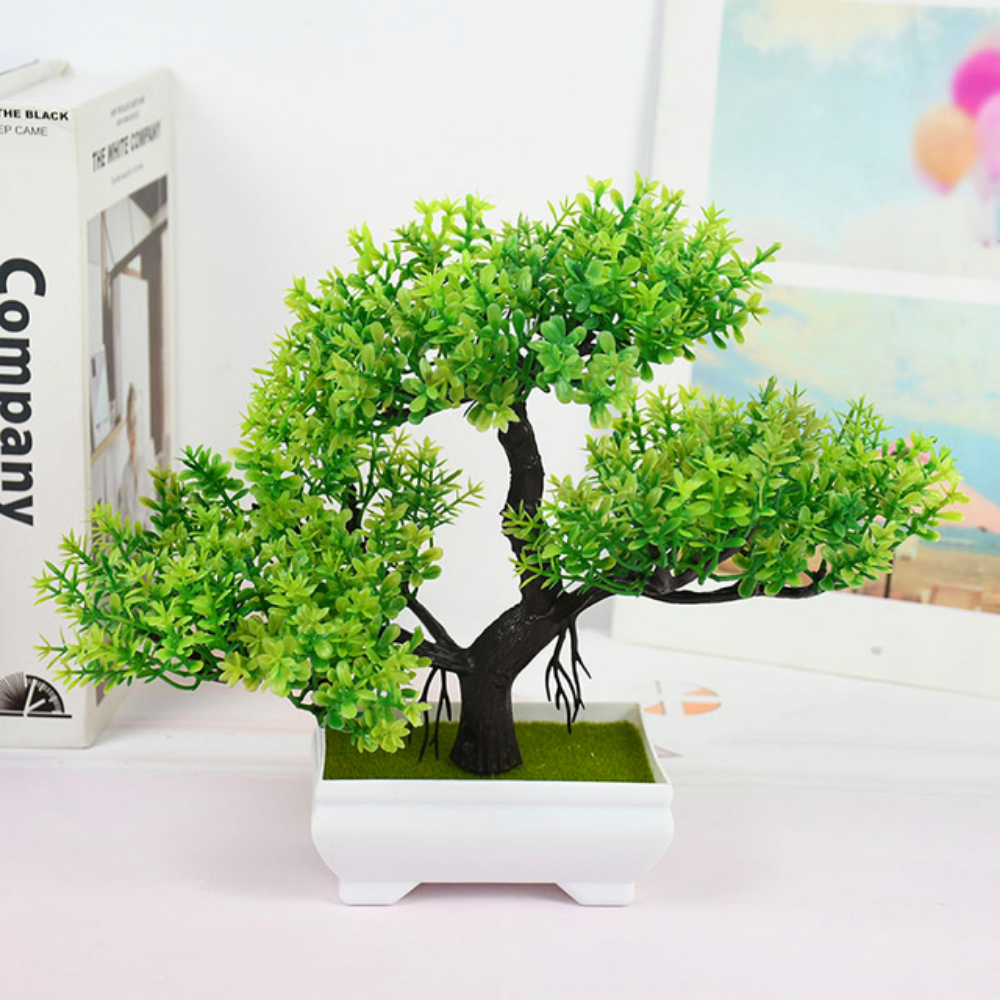 Ornamental Bonsai Tree