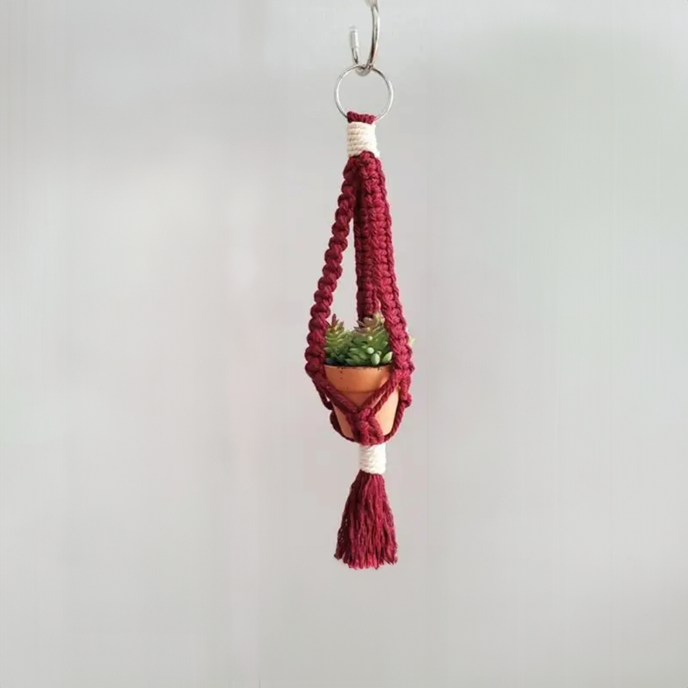 mini macrame car plant hanger Macrame Car Plant Hanger
