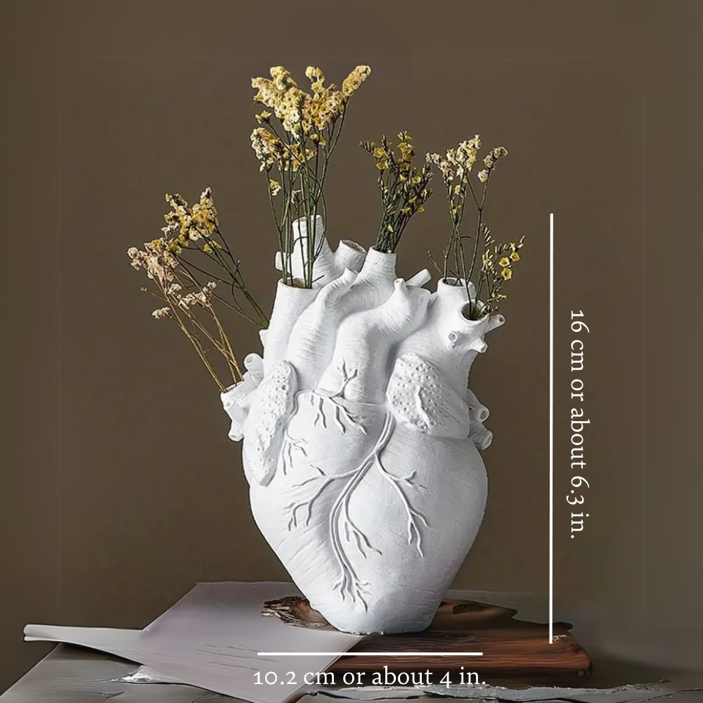 Anatomical Heart Vase