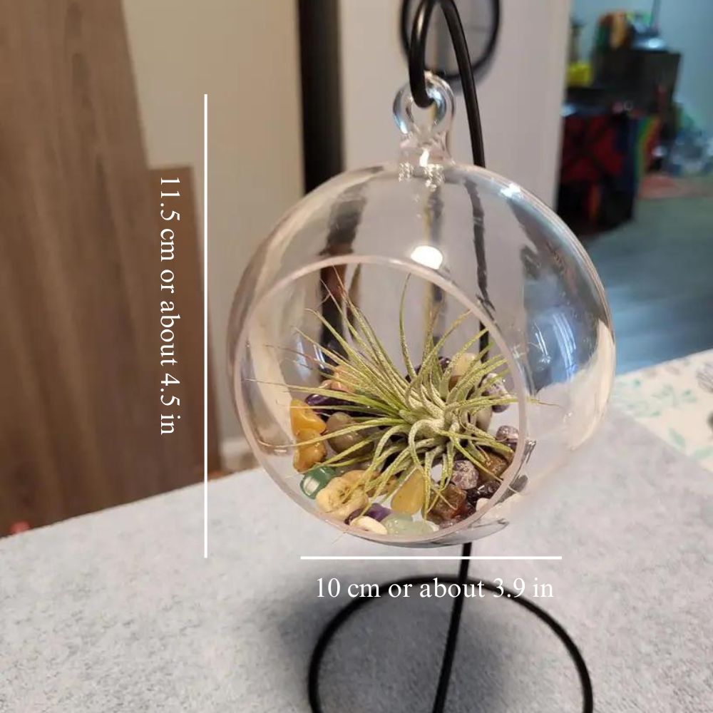 round terrarium planter Round Terrarium Planter