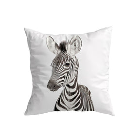 Safari Baby Zebra Cushion Covers