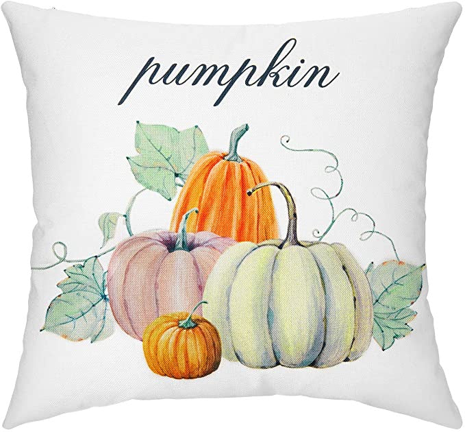 Autumn Farmhouse Cushion Covers