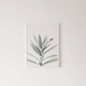 Botanical Canvas Paintings (3 Pack)