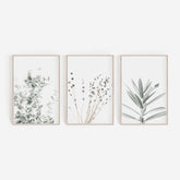 Botanical Canvas Paintings (3 Pack)